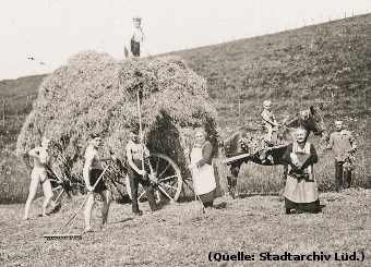 Foto: Das Foto zeigt Menschen bei der Heuernte: Ein Pferdewagen wird mit Heu beladen.